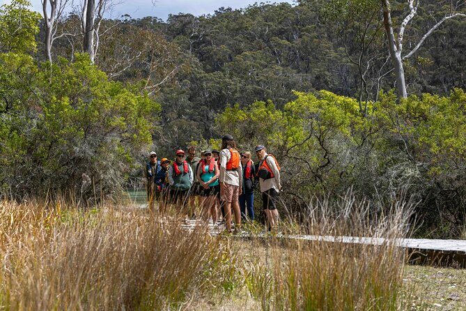4 Hour Aboriginal Culture Tour Kayaking Pambula River - Who Will Love This Experience?