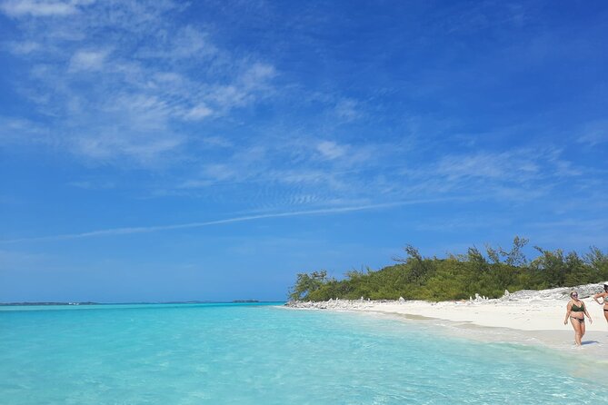 4-Hour Bahamas Excursion: Snorkeling, Wildlife, and Beach Club - Common Issues and Complaints