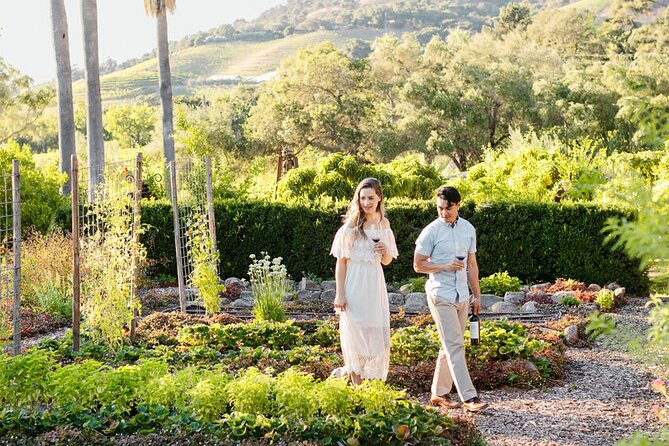 4-Hour Black SUV Private Ride or Wine Tour in Napa or Sonoma - Key Points