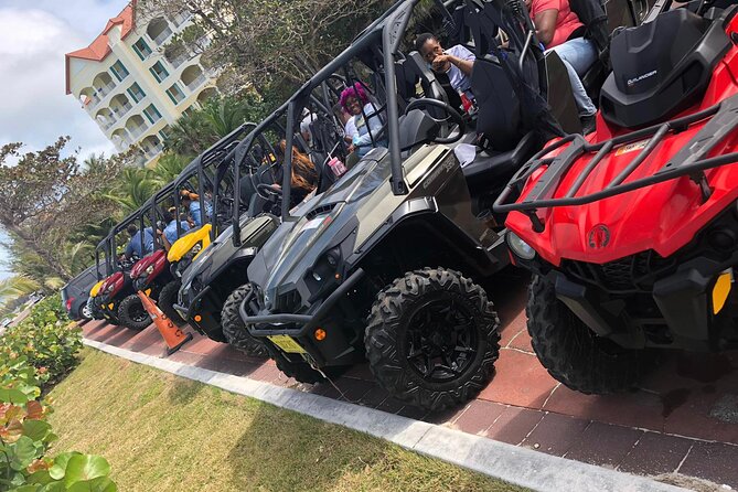 4-Hour Buggy Tour of New Providence (Inclusive of Water & Local Deserts) - Traveler Experience and Feedback