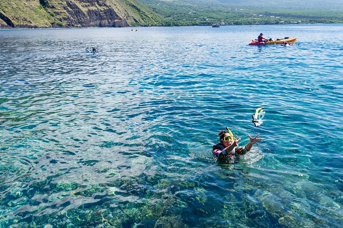 4 Hour Captain Cook Bay Cruise - What to Expect
