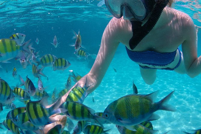 4-Hour Catamaran Sail and Snorkel Tour From Grace Bay - Sailing the Catamaran
