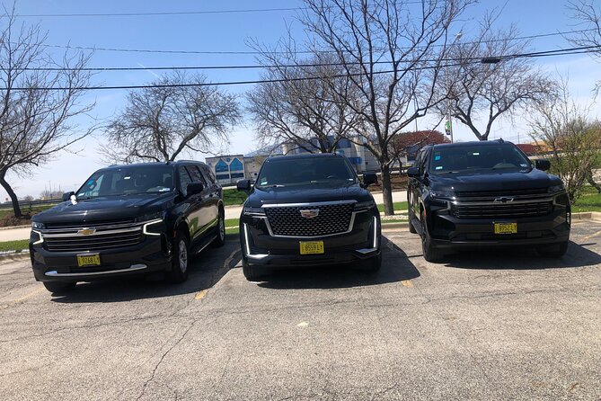 4-Hour Chicago City Tour by SUV - Convenience and Flexibility