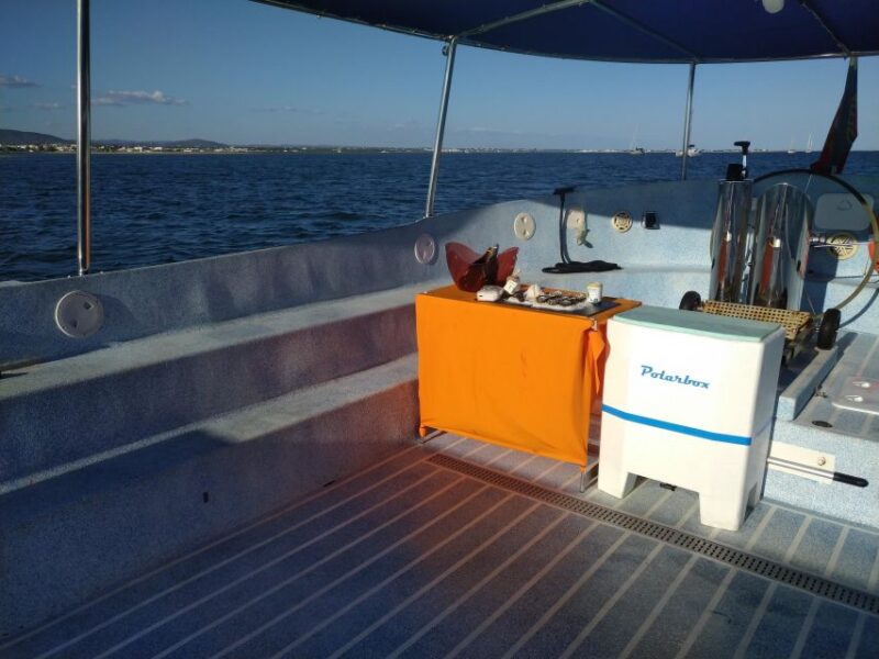 4 Hour Classic Boat Cruise, Ria Formosa Natural Park, Olhão. - Armona Island Experience