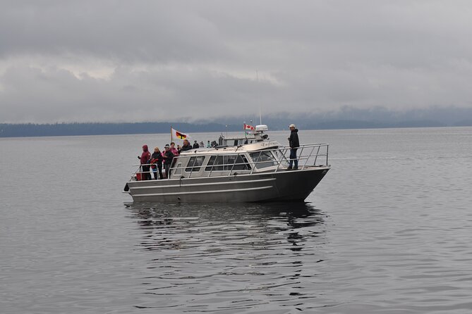 4 Hour Covered Boat Whale and Wildlife Tour - Group Size