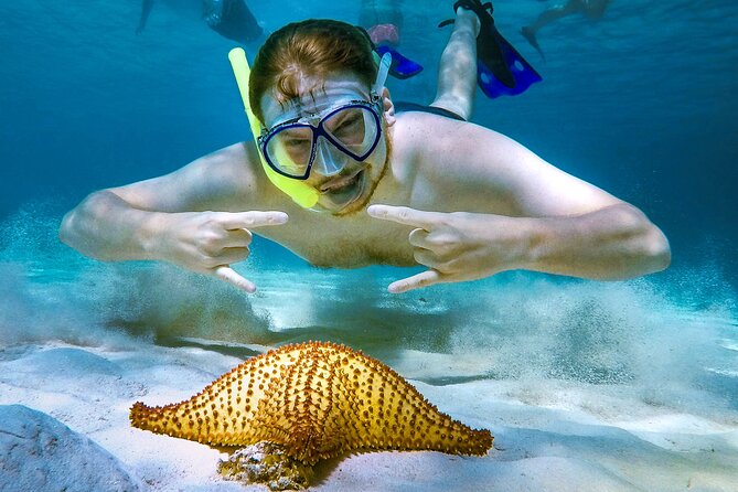4 Hour Cozumel Reefs Snorkeling - Snorkeling Sites