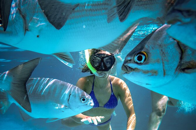 4 Hour Cozumel Reefs Snorkeling - Accessibility and Transportation