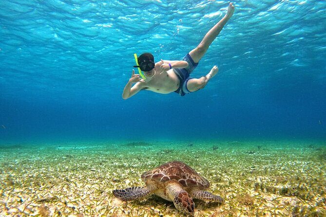 4 Hour Cozumel Turtle Sanctuary Experience on a Luxury Catamarán - Who Will Enjoy This Tour?