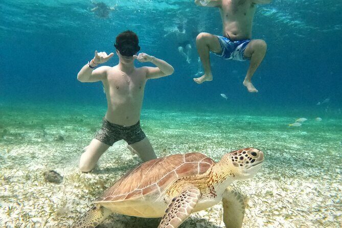 4 Hour Cozumel Turtle Sanctuary Experience on a Luxury Catamarán - FAQ