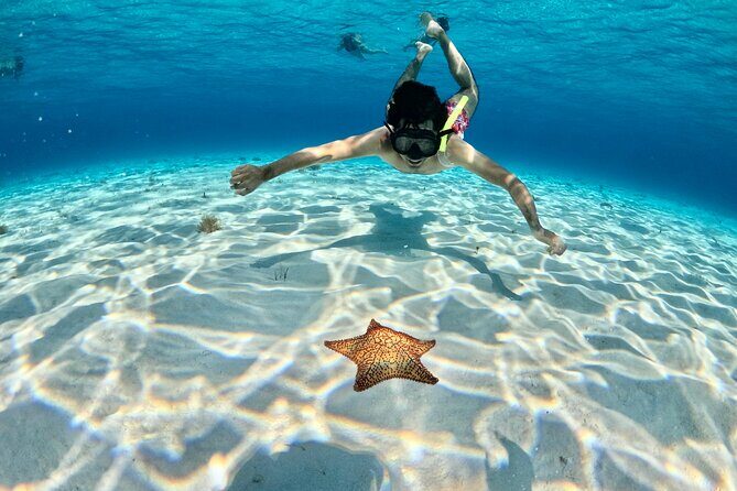 4 Hour Cozumel Turtle Sanctuary Experience on a Luxury Catamarán - Final Thoughts