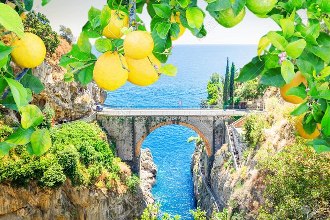 4 Hour Cruise on the Amalfi Coast With Aperitif and Lemontour - Accessibility and Participation