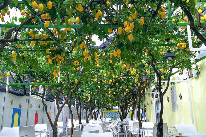 4 Hour Cruise on the Amalfi Coast With Aperitif and Lemontour - Confirmation and Additional Information