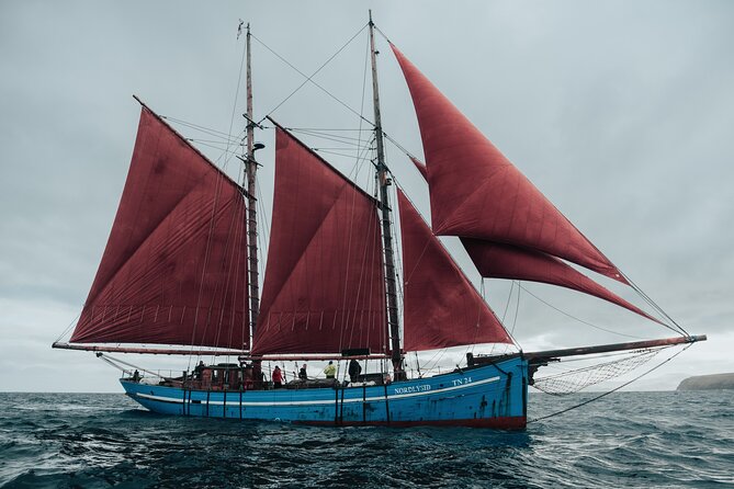 4-Hour Cruise Onboard Iconic Faroese Sailing Ship - Inclusions and Amenities