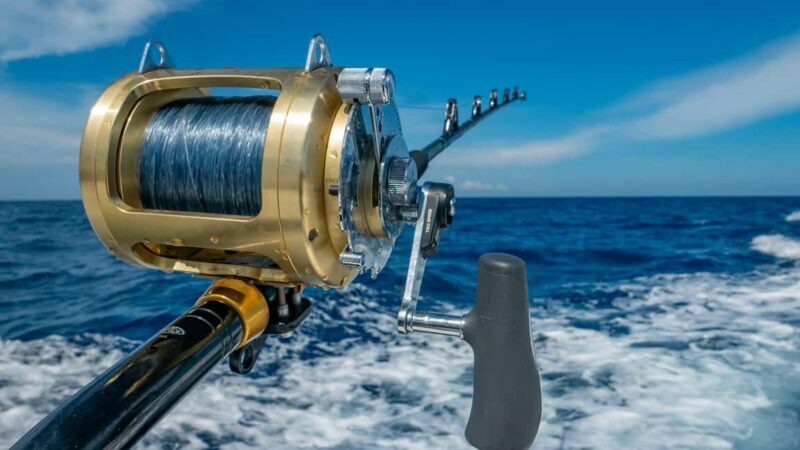 4 hour deep sea fishing experience from punta cana - Key Points