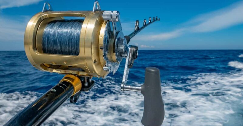4 Hour Deep Sea Fishing Experience From Punta Cana - Fishing Opportunities