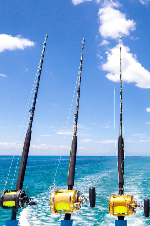 4 Hour Deep Sea Fishing Experience From Punta Cana - Fishing Gear and Crew