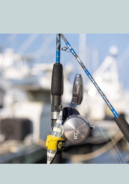 4 Hour Deep Sea Fishing Experience From Punta Cana - Booking Considerations