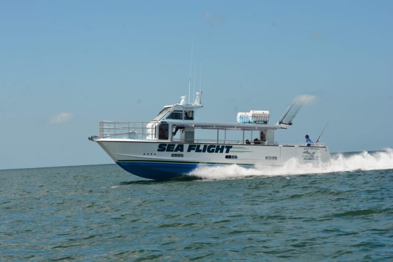 4 Hour Deep Sea Fishing - Overview of the Adventure