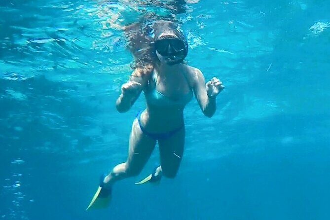4 Hour Egmont Key Island Tour With Dolphins & Snorkeling Included - The Itinerary in Detail
