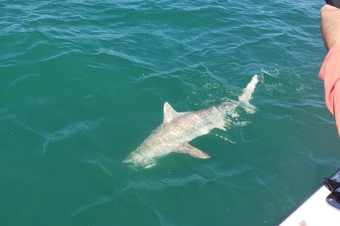 4-hour Fishing Adventure at Belleair Causeway - Highlights and Unique Features