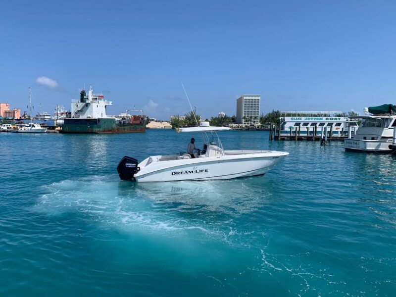 4 Hour Fishing or Snorkeling 27FT Boston Whaler - Fishing Experiences
