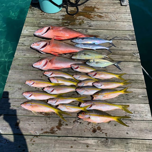 4 Hour Fishing or Snorkeling 27FT Boston Whaler - Snorkeling Charters