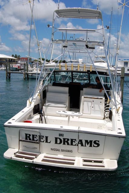 4 Hour Fishing or Snorkeling 38FT Tiara - Fishing Experience