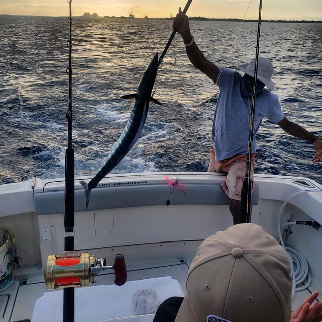 4 Hour Fishing or Snorkeling 38FT Tiara - Snorkeling and Relaxation