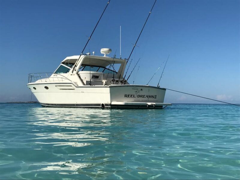 4 Hour Fishing or Snorkeling 38FT Tiara - Pricing and Group Size