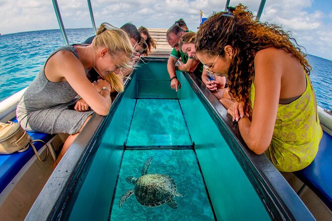 4-Hour Glass Bottom Boat Experience in Punta Cana - Highlights of the Glass Bottom Boat