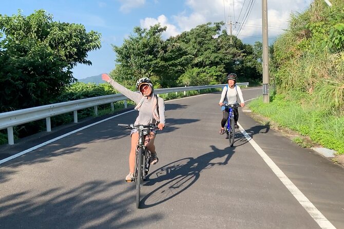 4 Hour Guided Cycling Experience in Yakushima - Yakushima: A Cycling Destination