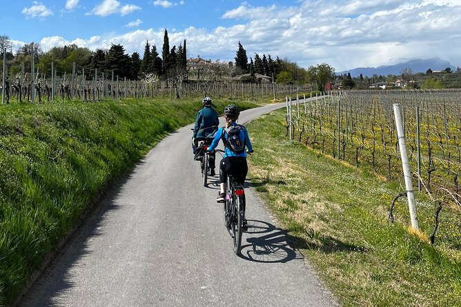 4-Hour Guided E-bike Tour of the Two Wineries in Bardolino - Whats Included in the Tour