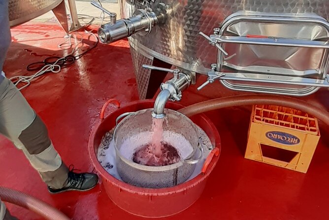 4-Hour Guided E-bike Tour of the Two Wineries in Bardolino - Exploring the Bardolino Countryside