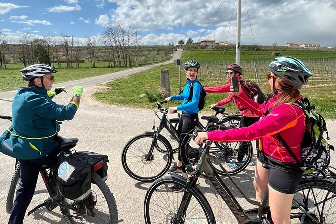 4-Hour Guided E-bike Tour of the Two Wineries in Bardolino - Scenic Vineyards and Olive Groves