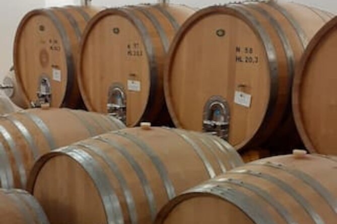 4-Hour Guided E-bike Tour of the Two Wineries in Bardolino - Local Insights From the Guide
