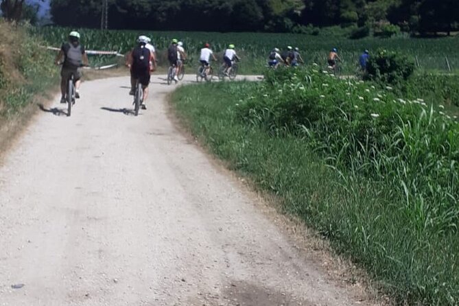 4-Hour Guided E-bike Tour of the Two Wineries in Bardolino - Traveler Feedback and Highlights