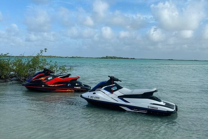 4-Hour Guided Jet Ski Tour to Secret Beach, San Pedro, Belize. - Customer Feedback