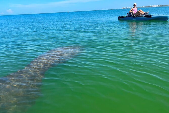 4-Hour Guided Kayak Adventure in Bonita Springs - Key Points