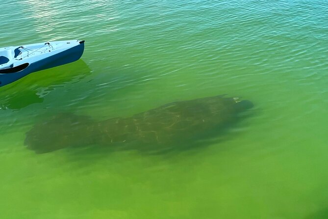 4-Hour Guided Kayak Adventure in Bonita Springs - Meeting and End Points