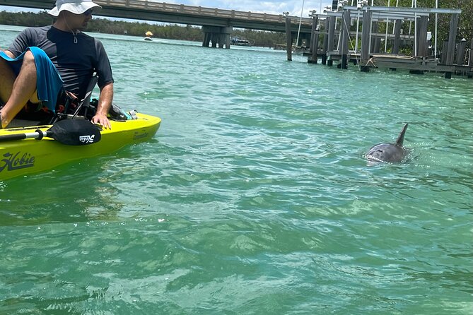 4-Hour Guided Kayak Adventure in Bonita Springs - Customer Feedback