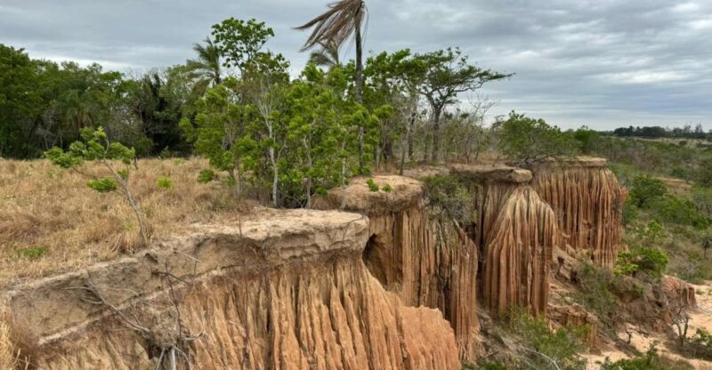 4- Hour Hiking Tour in Two Different Tropical Worlds - Itinerary and Highlights