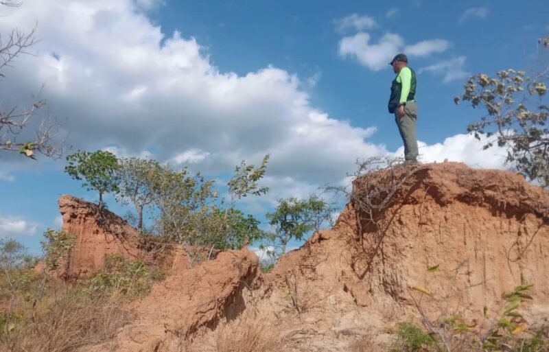 4- Hour Hiking Tour in Two Different Tropical Worlds - Customer Reviews and Feedback
