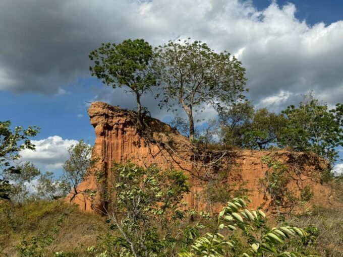 4- Hour Hiking Tour in Two Different Tropical Worlds - Diversity of Flora and Fauna