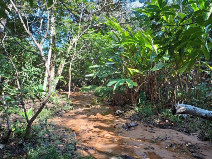 4- Hour Hiking Tour in Two Different Tropical Worlds - Photogenic Red Rock Formations