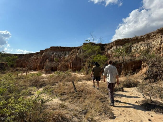 4- Hour Hiking Tour in Two Different Tropical Worlds - Frequently Asked Questions