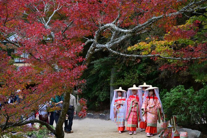 4 Hour Hiroshima Miyajima PRIVATE Tour - Weather Considerations