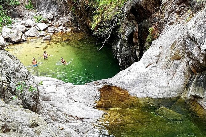 4-Hour Jungle Hike and Waterfall Swim - Tour Guide Highlights