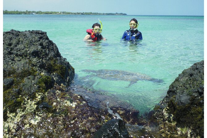4-hour Kailua-Kona Ocean Kayak and Snorkel Tour - Search for Hawaiian Spinner Dolphins