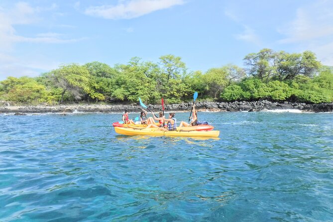 4-hour Kailua-Kona Ocean Kayak and Snorkel Tour - Snorkeling Among Diverse Marine Life