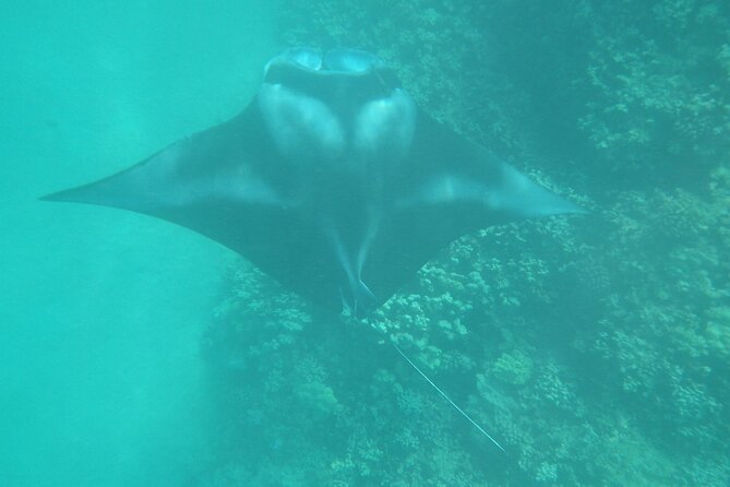 4-hour Kailua-Kona Ocean Kayak and Snorkel Tour - Included Amenities and Provisions